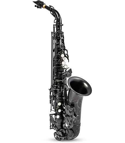 Amazon.com: Aiollns JAS-802 Alto Saxophone E Flat Black Color